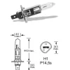 Izzó H1 12V 55W