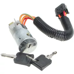 Dacia Logan Sandero Renault Clio Megane Gyújtáskapcsoló zárbetét 7701471220