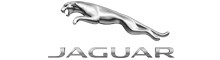 43. Jaguar Patent